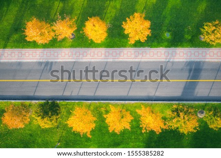 Aerial view of road through beautiful green field with yellow trees at sunset in autumn. Landscape with empty asphalt road, trees alley, green grass in fall. Highway in park. Top view from drone