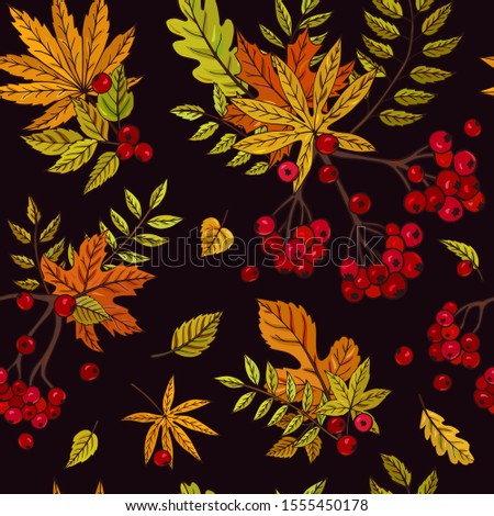 
Seamless vector pattern with rowan berry branches on a dark background. Autumn background with red berries and leaves. It can be used for websites, packing of gifts, fabrics, wallpapers.
