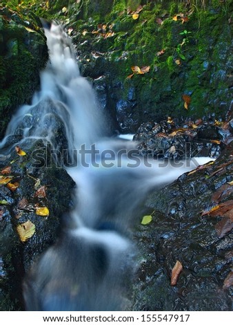 Small waterfall full of water after rain. Colorful leaves from maple tree and wild cherry laying on wet basalt rock. Stones and colorful autumn leaves 