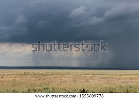 Rainy clouds over yellow field
