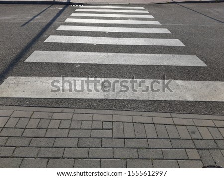 pedestrian crossing on the road