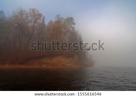 Fog in the forest on the river. Autumn yellow leaves