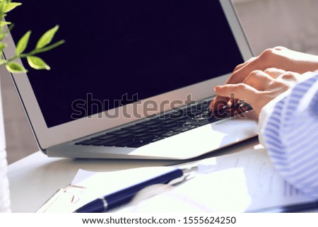 Female hands working on laptop on light background closeup. View from behind the green flower.