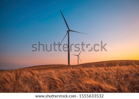 Two wind turbines rotate around generating energy in the middle of a wheat field.  Wind farms, are becoming an increasingly important source of intermittent renewable energy  Royalty-Free Stock Photo #1555633532