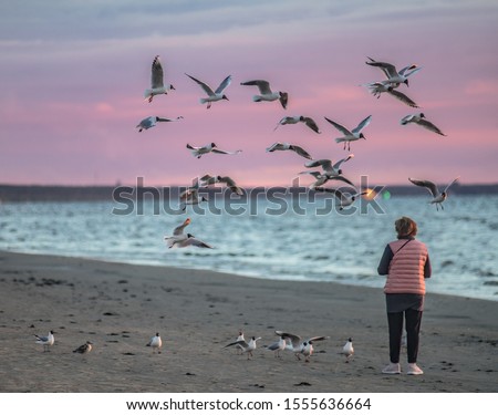Jurmala, Latvia. Woman feeding birds. sky birds flying. nature birds flying. nature sea Royalty-Free Stock Photo #1555636664