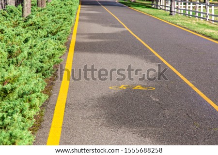 asphalt road with a bicycle symbol and a marked lane with yellow markings for the movement of bicycles with bushes and green grass on the roadside on a sunny day after rain.