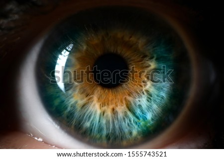 Blue orange human eye close up background. Color perception blindness concept Royalty-Free Stock Photo #1555743521