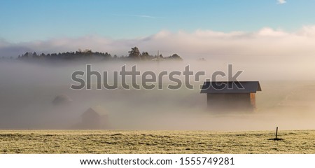 A misty morning in Murnau Moor