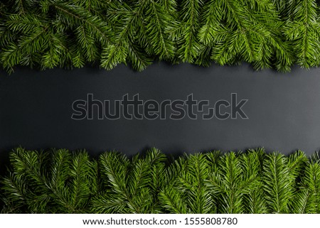 Christmas border arranged with fresh fir branches on black paper background , copy space for text