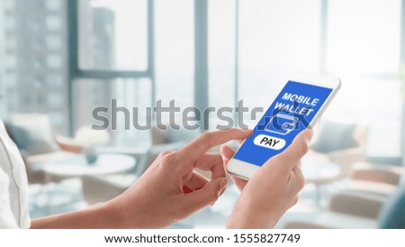 Woman hands holding and using smartphone with mobile wallet screen, wallet icon and pay button on blurred retail shop in shopping mall background.Mobile payment concept.