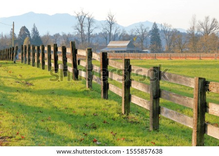 A long, solid wooden fence runs the length of country orchards during the winter months. 