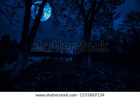 Mountain Road through the forest on a full moon night. Scenic night landscape of dark blue sky with moon. Azerbaijan. Long exposure shot.