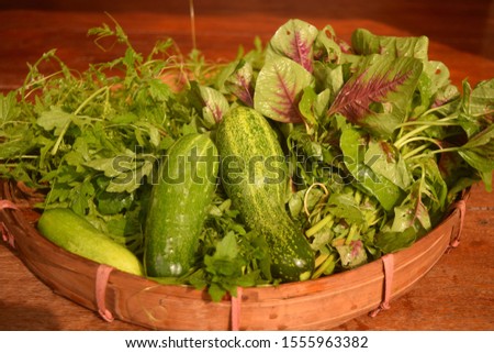 this pic shows harvested mix local vegetables, cucumber, spinach and green leaves vegetable in old basket from garden household