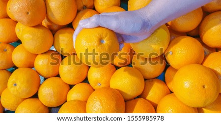 People are buying oranges in the market.