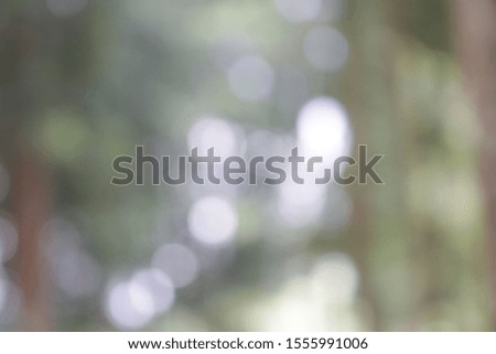 picture of natural scenery as a blurred background