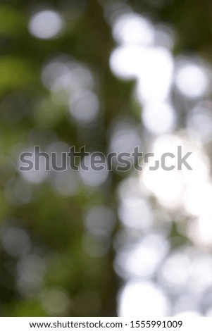picture of natural scenery as a blurred background