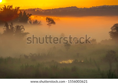 Natural blurred background of fog scattered among trees in the morning, with soft sunlight from the sun, seasonal beauty.