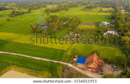 a ricefield and landscape near the city of Takeo in Cambodia