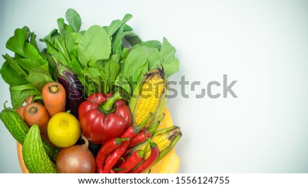 various kind of vegetables isolated on white background