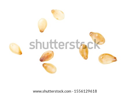 Sesame seeds isolated on a white background. Royalty-Free Stock Photo #1556129618