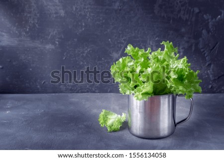 Green lettuce leaves in an aluminum mug on a gray background. Rustic style, copy space