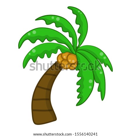 Coconut palm tree isolated illustration on white background