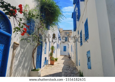 A street in the Arab city of Sidi Bou Said. House with blue windows and doors with Arabic ornaments, Sidi Bou Said, Tunisia, Africa Royalty-Free Stock Photo #1556182631