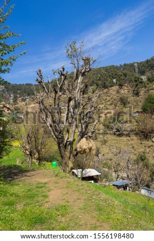 Beautiful nature and landscape photo of Dharamsala in India. Nice outdoors in the Himalaya mountains.