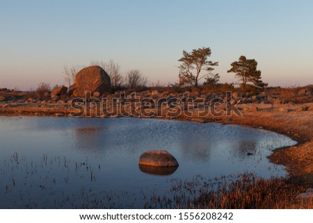 Rocky sea shore. Wilderness. Beautiful Purekkari peninsula, part of Lahemaa national park. Estonia.