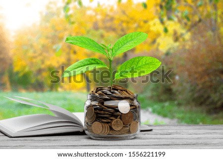 green plant growing on golden coin in glass jar on wood table in park with blur nature background. business financial banking saving concept. investment profit income. marketing startup success.