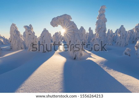 Beautiful winter nature landscape, amazing mountain view. Scenic image of forests. Frosty day at the ski resort. Christmas time new year. Excellent winter wallpaper. Explore the beauty of the country.