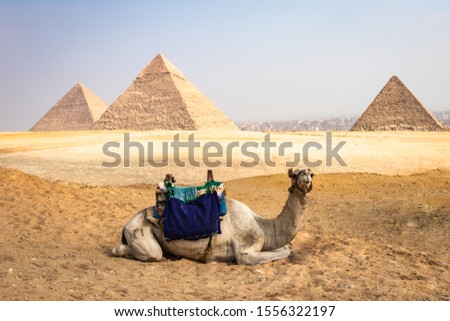 The Pyramids of Giza and the Sphinx of Egypt, a global tourist area of the wonders of the world