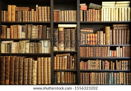 old books on wooden shelf Royalty-Free Stock Photo #1556323202