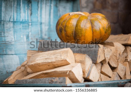Pumpkin on wooden logs. Wooden vintage background.