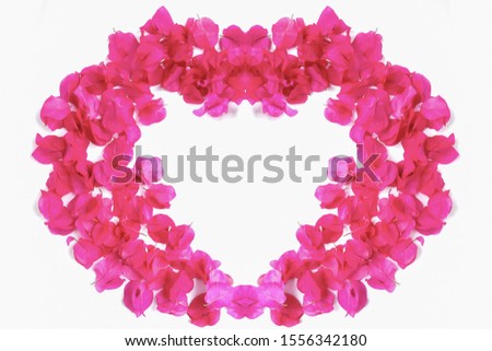 heart shap of Pink flower isolate on white background             