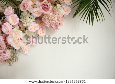 pink rose flower on a white background and with copy space