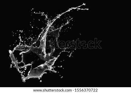 Water Splash Isolated on Black Background