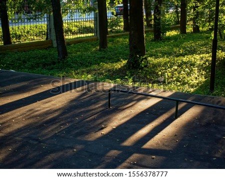 sunlight from the trees in the Park in summer, Moscow
