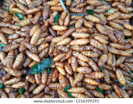 Close up of caterpillars fried with pieces of pandanus leaf selling in the fresh market and roadside in Bangkok. A background texture of fried insects for the design.