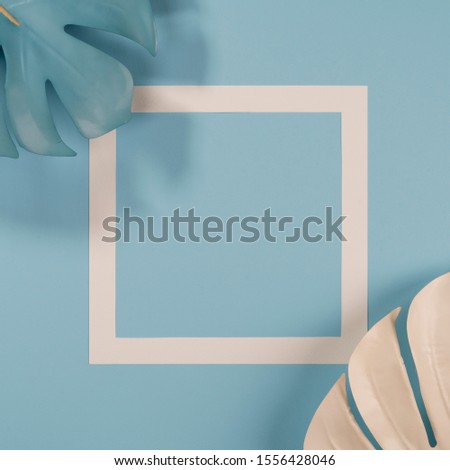 Top view of tropical leaves and shadows on sea color background. Flat lay. Minimal summer concept with palm tree leaf. Creative copyspace with paper frame. - Image