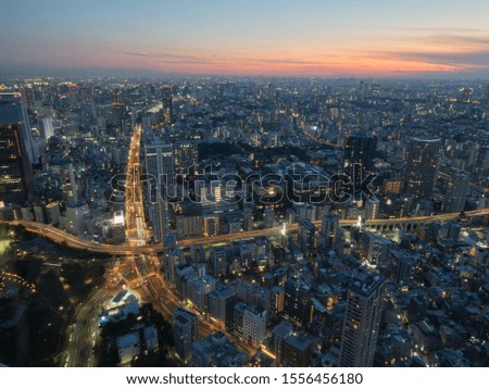 Tokyo, Japan cityscape at dusk above highway junction.