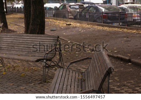 Lonely benches in the autumn park
