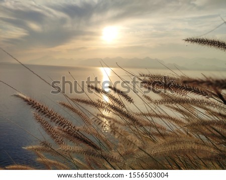 Landscape in Antalya sea and sunset in Lara
