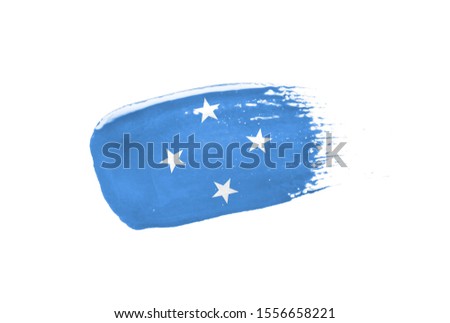 Brush painted Micronesia flag. Hand drawn style