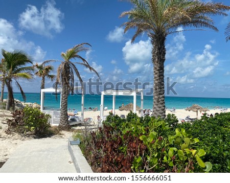Bimini Bahamas - Paradise Beach Royalty-Free Stock Photo #1556666051