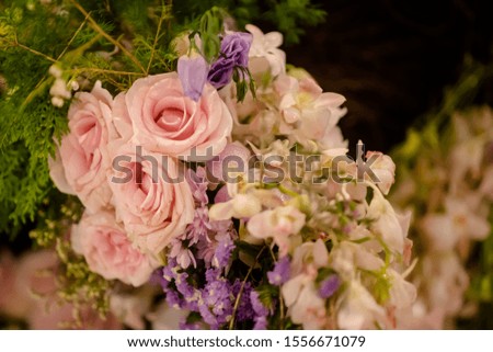 Rose Flowers in soft focus or blurred background and among other multi color orchid flowers.