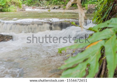 Waterfall, stone, forest, tree, ground, water in nature