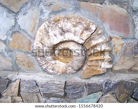 Jurassic Ammonites in the Wall.  Russia, Kabardino-Balkaria, next to the Blue Lake.
