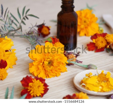 tincture of flowers of Chernobrivtsov in a small jar. selective focus