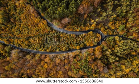 Autumn colorful forest aerial picture of the road 